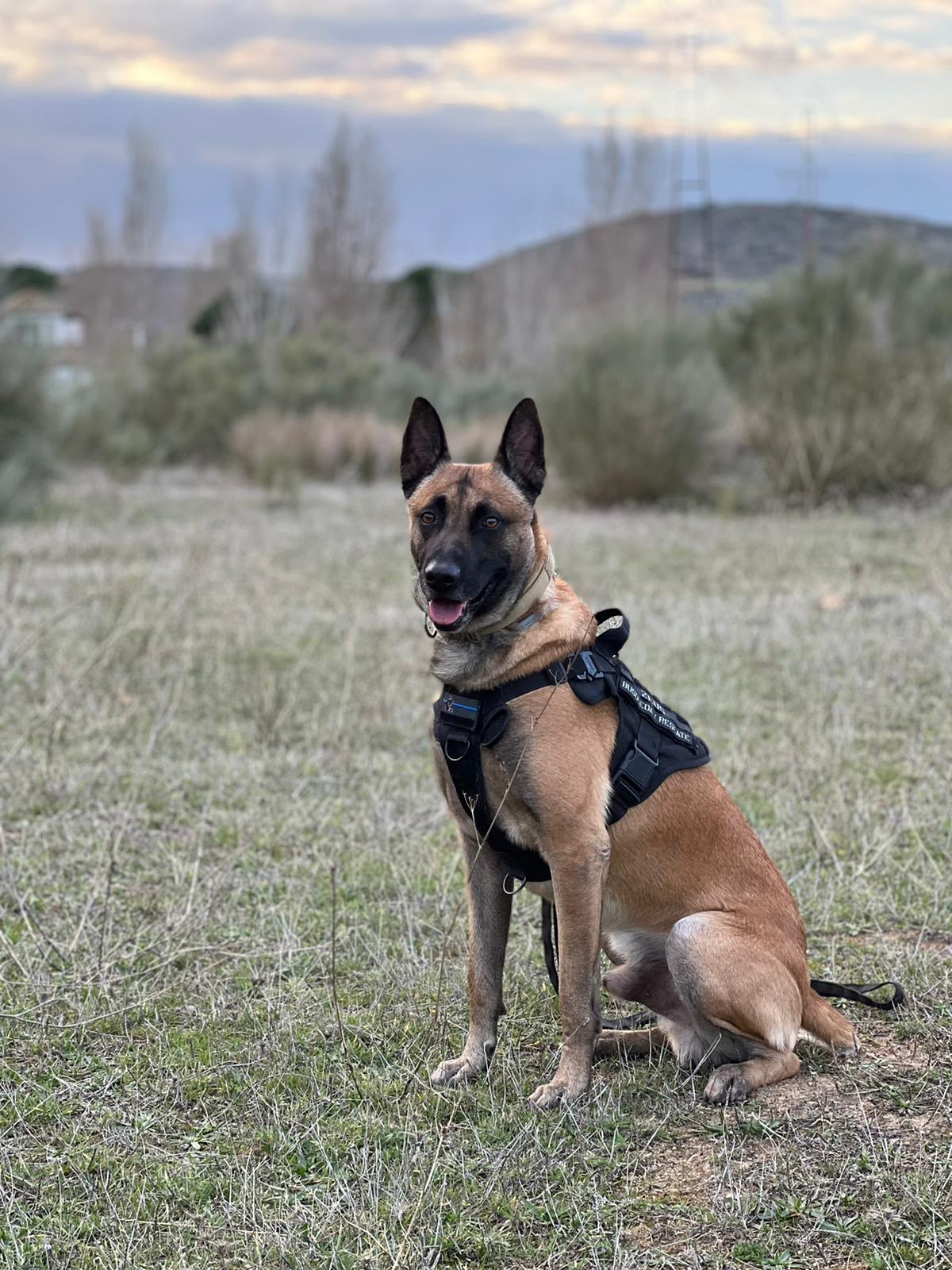 Zeus